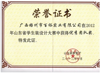山東省學(xué)生裝設(shè)計大賽優(yōu)秀團隊獎